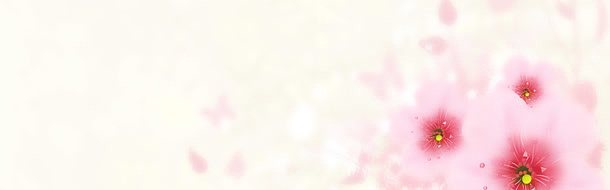 粉色唯美背景banner
