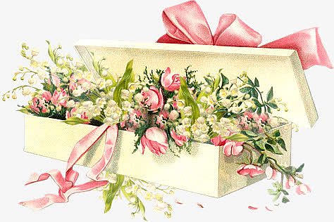 礼盒里的粉色玫瑰花朵