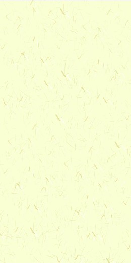 黄色纸张背后
