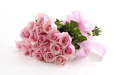 浅粉色玫瑰花束七夕情人节