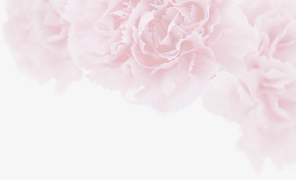 淡粉色花朵背景元素
