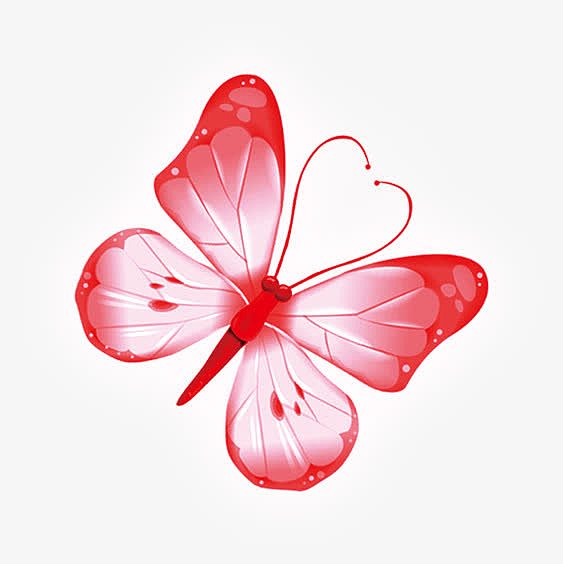 红色蝴蝶图片