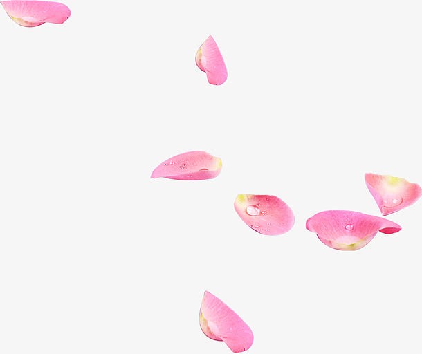水珠飘舞粉色花瓣