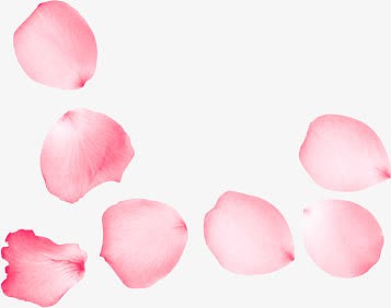 粉色情人节花瓣
