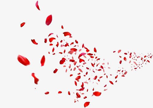 飞舞的红色花瓣七夕情人节