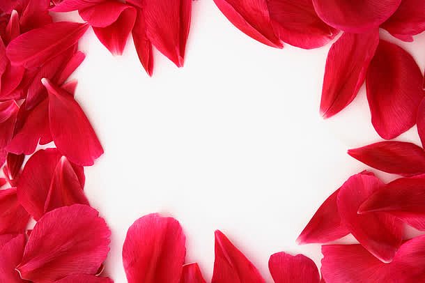 红色花瓣边框海报背景七夕情人节