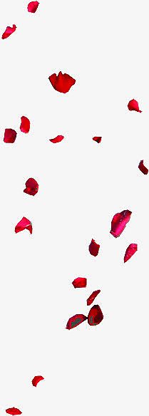 飘落红色花瓣素材七夕情人节