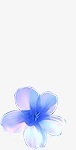 蓝色手绘花朵素材七夕情人节