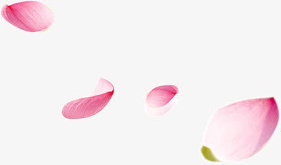桃花花瓣节日鲜花飘落装饰粉红素材背景