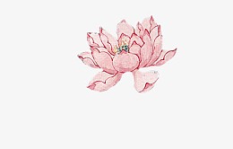 手绘红色莲花矢量免抠图片素材