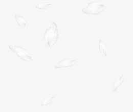 飘落的白色羽毛背景