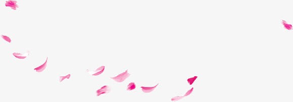 桃花花瓣七夕情人节日鲜花飘落装饰粉红素材背景
