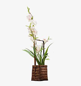 藤筐里的白色花束背景