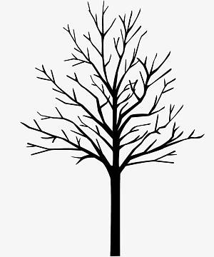 黑色树枝剪影干枯