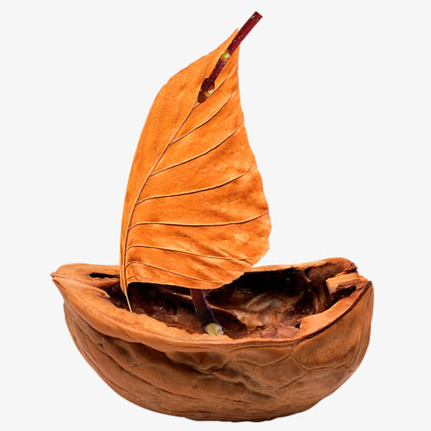 创意核桃黄叶船设计