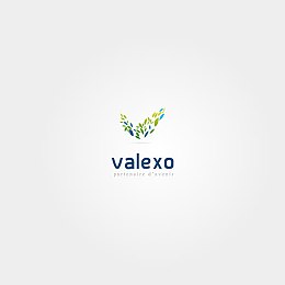 valexo标志logo素材
