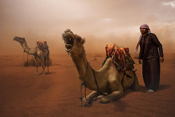 沙漠上的骆驼商队海报背景