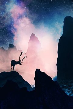 七彩星空下的梅花鹿