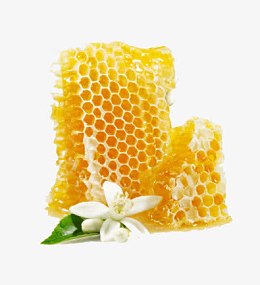 免抠透明蜂蜜高清