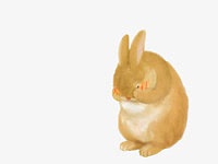 站立的黄毛小兔子