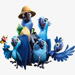 一群可爱的蓝色小鸟