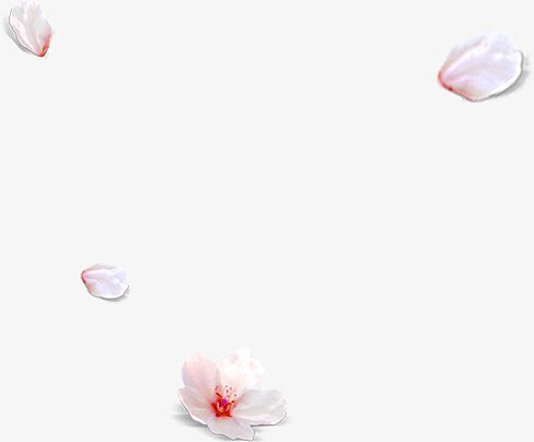 粉色花瓣简单边框
