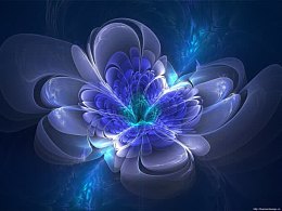 蓝色轻柔花朵海报背景