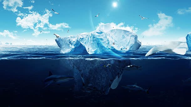 海面上的冰山北极熊海鸥海报背景