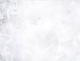 白色羽绒大屏背景