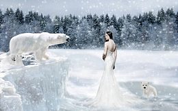 雪地松树林北极熊美女雪夜海报背景