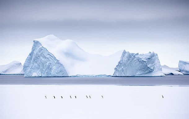 冰山企鹅海报背景