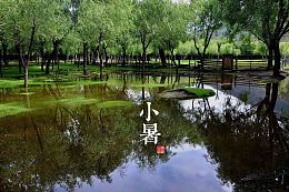 小暑节气宽屏背景