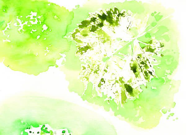 绿色渲染手绘叶子
