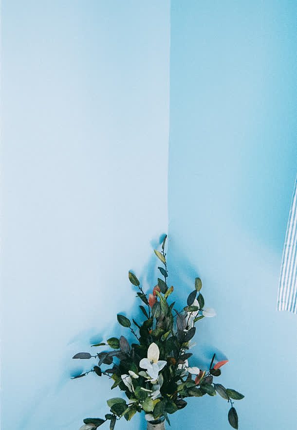 蓝色墙角的花束海报背景