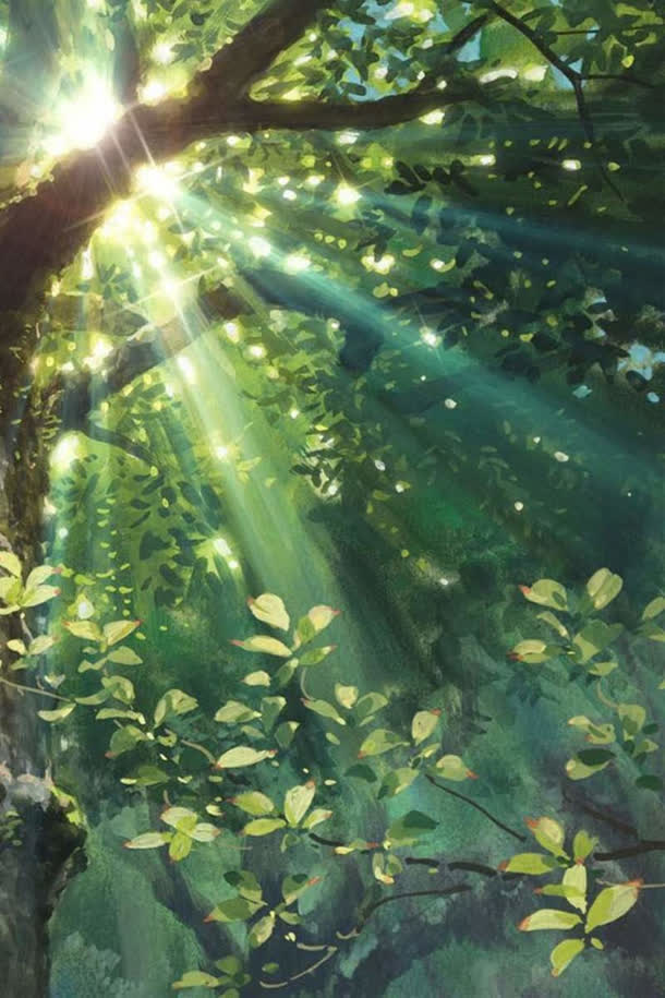 树叶间照射的阳光海报背景