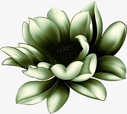 浅绿色手绘荷花中秋