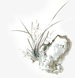 水墨画怪石兰花中秋