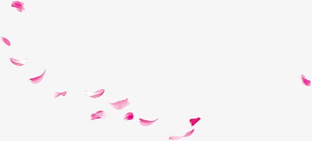 散落的粉色花瓣中秋