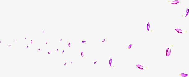 紫色飞舞的花瓣中秋