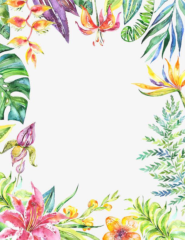 手绘彩色热带植物装配边框