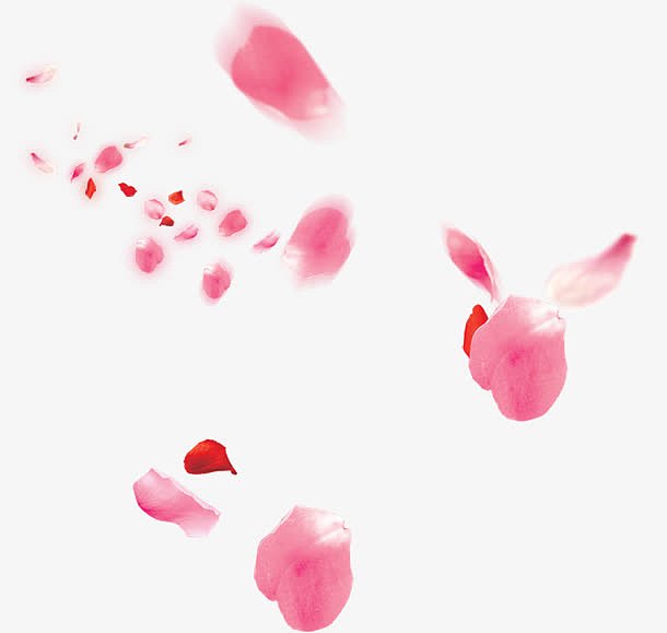 手绘粉色花瓣海报