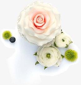 粉色玫瑰花菊花茉莉花