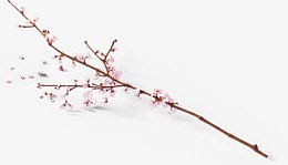 一枝桃花免抠白底图