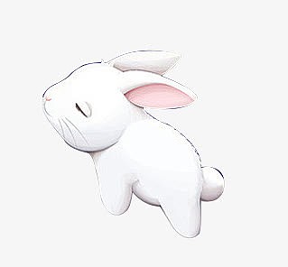 白色萌兔可爱兔子
