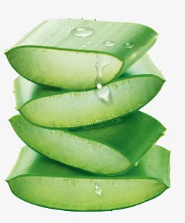 补水芦荟绿色健康