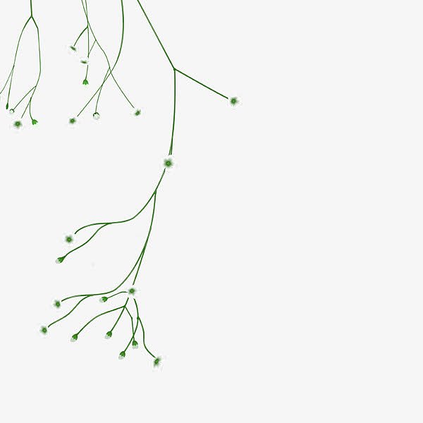 绿色线条伸展藤蔓花枝