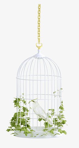 悬挂着黄色链条的白色鸟笼