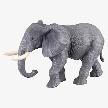 灰色油亮皮肤大象