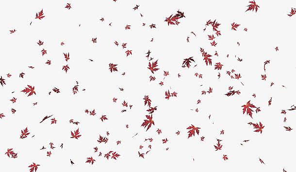 漫天飞舞的红叶叶子