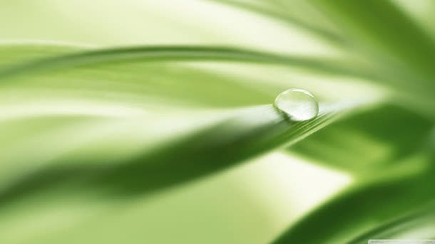 动感有质感在树叶上的水滴